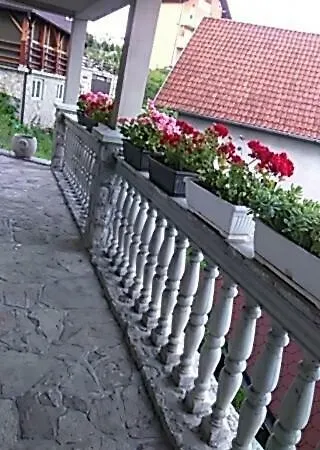 Guest Oase Pavlovica Staze Pribojska Banja