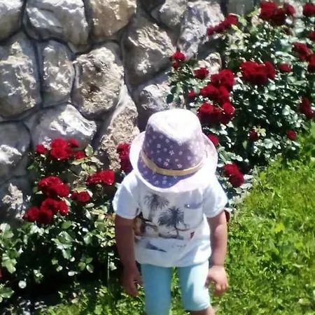 Guest Oase Pavlovica Staze Pribojska Banja