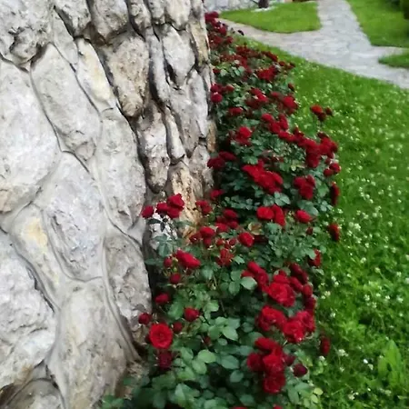 Privat bolig Guest Oase Pavlovica Staze Pribojska Banja