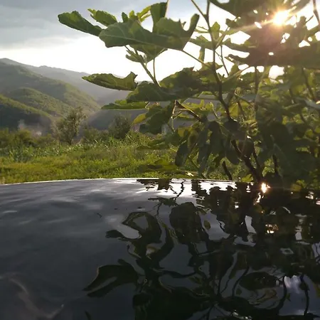 Guest Oase Pavlovica Staze * Pribojska Banja